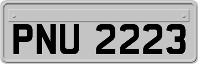 PNU2223