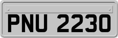 PNU2230