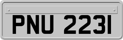 PNU2231