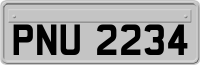 PNU2234