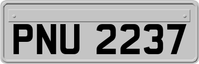 PNU2237