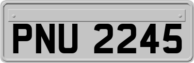 PNU2245