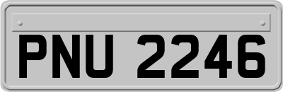 PNU2246