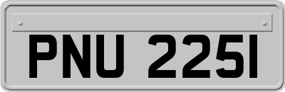 PNU2251