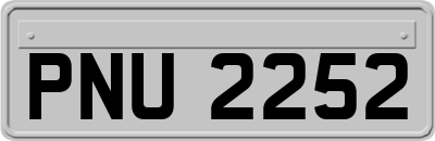 PNU2252