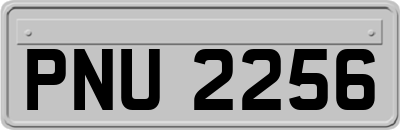 PNU2256