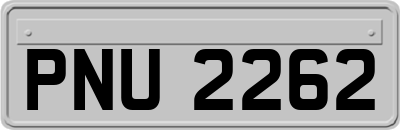 PNU2262