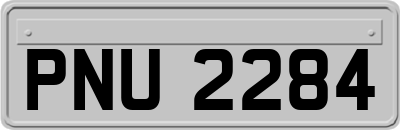 PNU2284