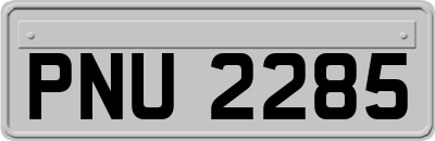 PNU2285