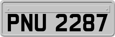 PNU2287