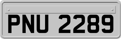 PNU2289
