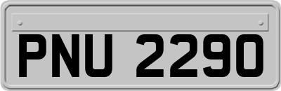 PNU2290