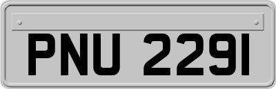 PNU2291