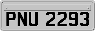 PNU2293