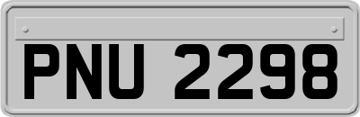 PNU2298