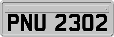 PNU2302