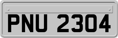 PNU2304