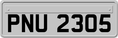 PNU2305