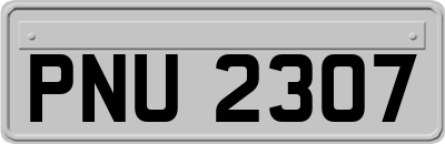PNU2307