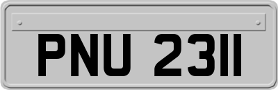 PNU2311