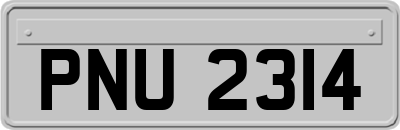 PNU2314