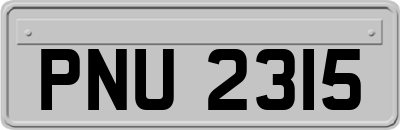 PNU2315