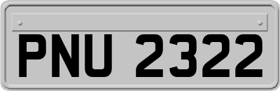 PNU2322