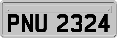 PNU2324