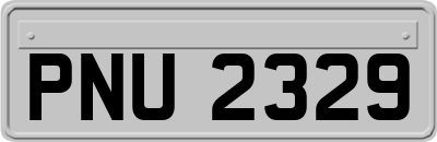 PNU2329