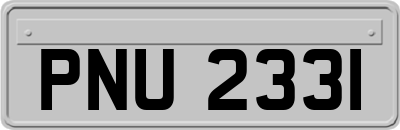 PNU2331
