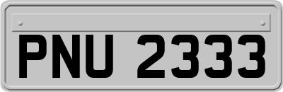 PNU2333