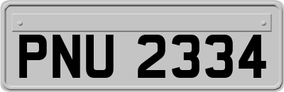 PNU2334