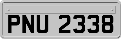 PNU2338