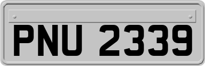 PNU2339