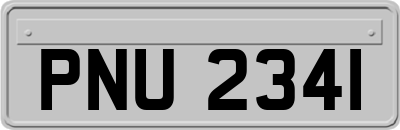 PNU2341