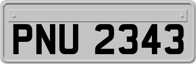 PNU2343