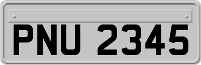PNU2345