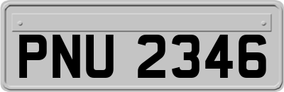 PNU2346