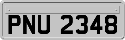 PNU2348