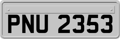 PNU2353