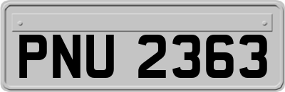 PNU2363