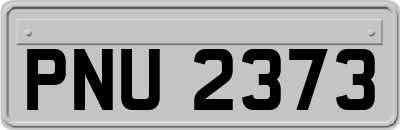 PNU2373
