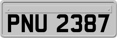 PNU2387