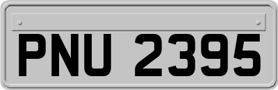PNU2395