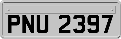 PNU2397