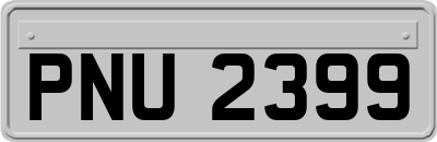 PNU2399