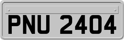 PNU2404