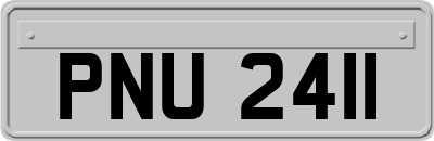 PNU2411