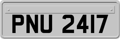 PNU2417