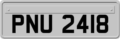 PNU2418